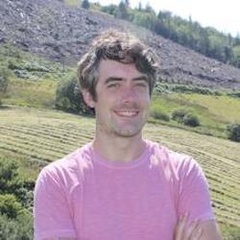 Professor Robin Wordsworth